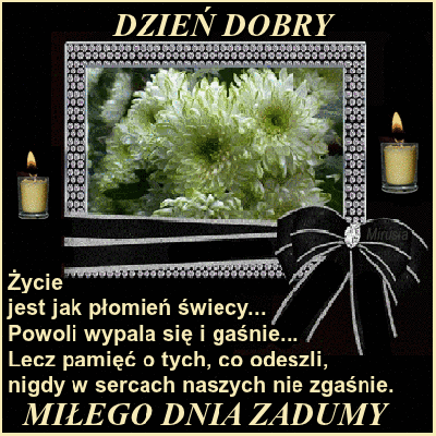 Chryzantemy czas zadumy